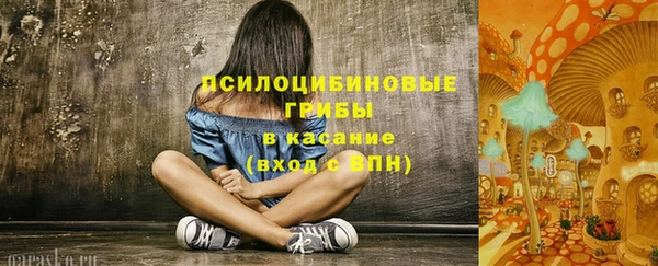 дмт Арсеньев