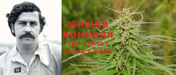 дмт Арсеньев