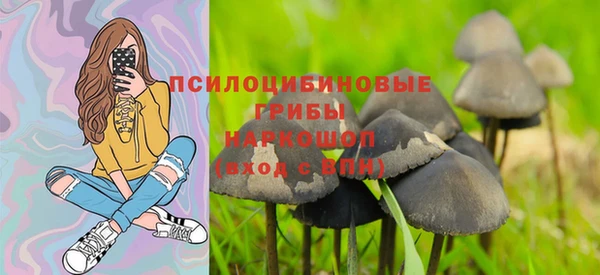 mix Аркадак