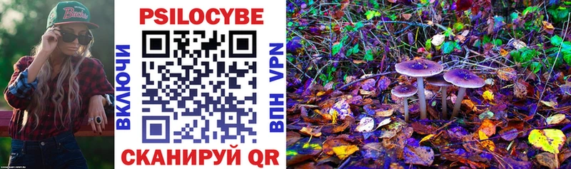 Псилоцибиновые грибы ЛСД  Купить закладки  Курск 